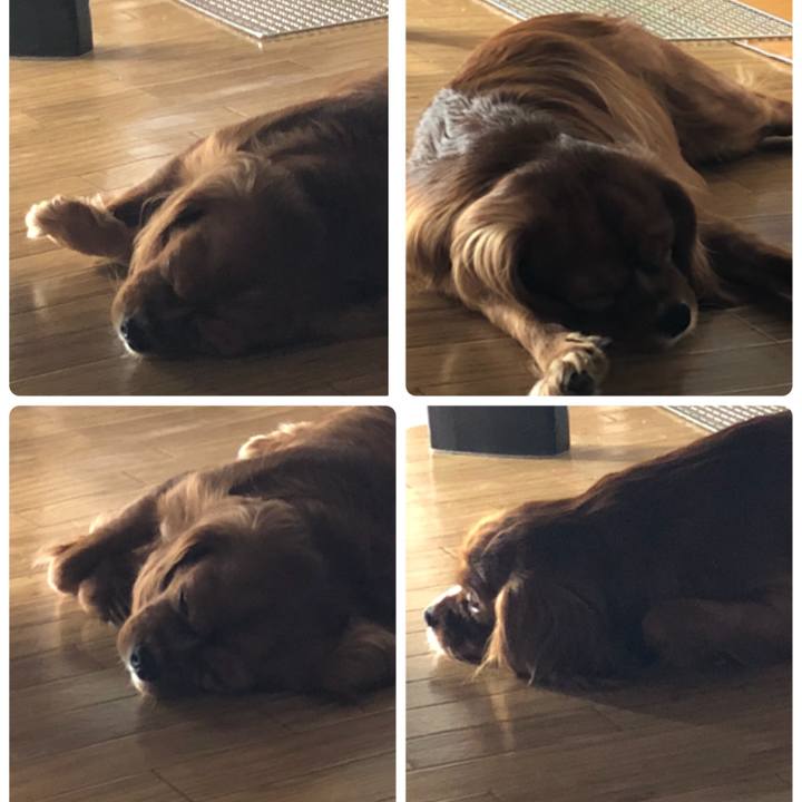 F1d6dea6 18a9 43d4 bf16 c67273ee656f 1534036036203