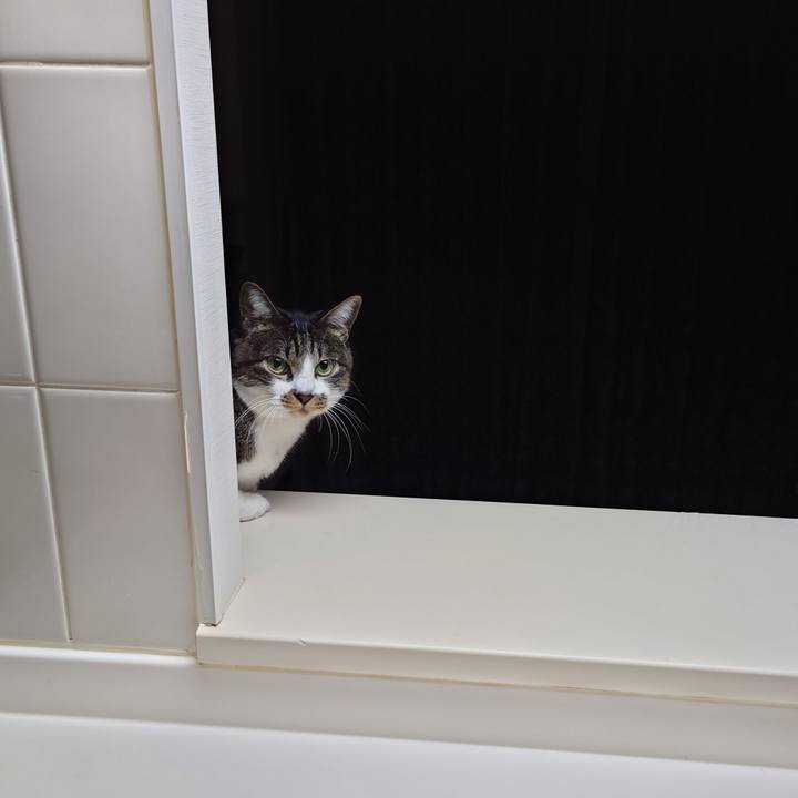 F1d71fd2 922c 42b0 8cd1 507bf4d6af4f 1767522612317