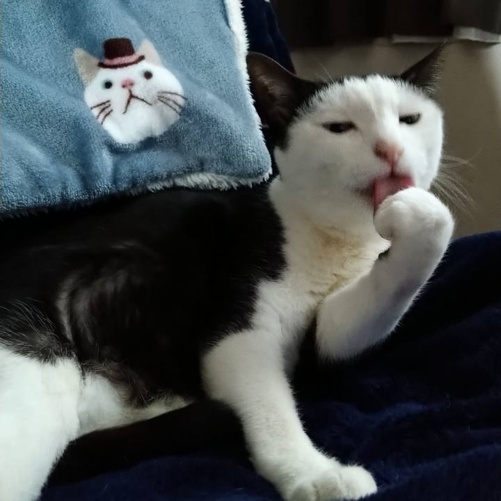 F1d734c1 742b 49cd a00f f15d9b4112b2 1620615339920