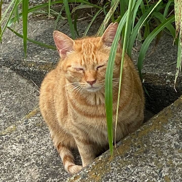 F1d77dba 448a 45cf aad0 593198746e58 1663857280645