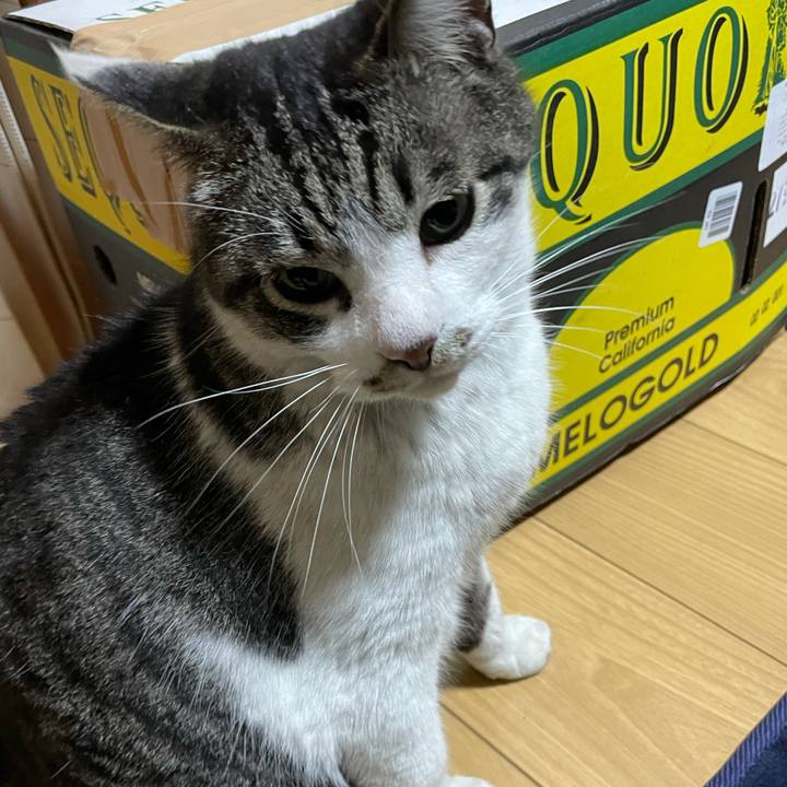 F1d7b26a 80af 4454 9a54 7fd326b8d904 1616933851690