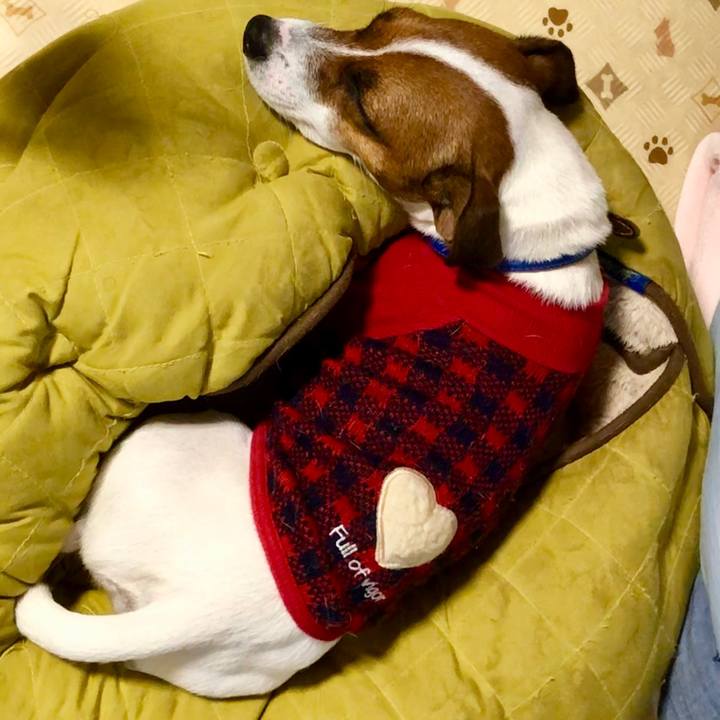 F1d7c7c6 0384 4e48 85cc 6b8998dd8b3b 1545135187659