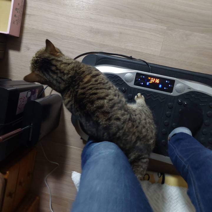 F1d7d360 7e2f 4a1e 967c b9396a4b4b41 1634852824267