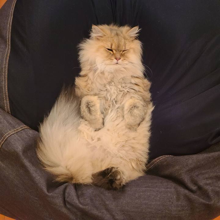 F1d7e68b b57c 4898 a470 1d08323a411e 1639351389349