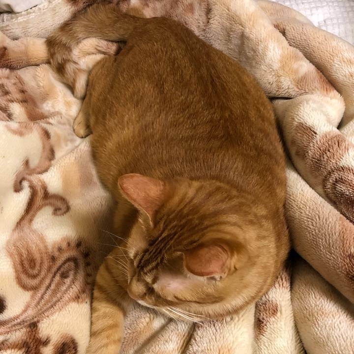 F1d84566 c821 43f0 a9ab a31474d0e0a6 1574691951898