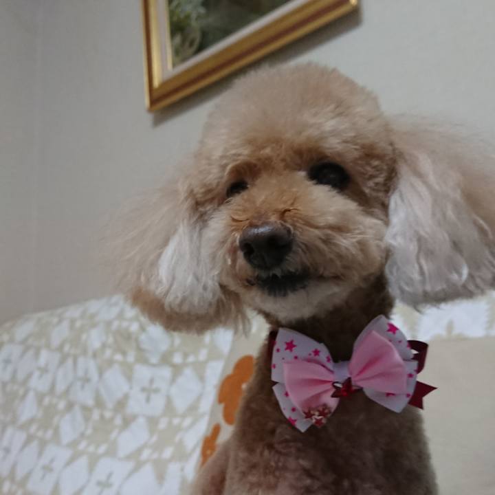 F1d858b0 2368 449b 8a61 03d32add5fa8 1574161471629