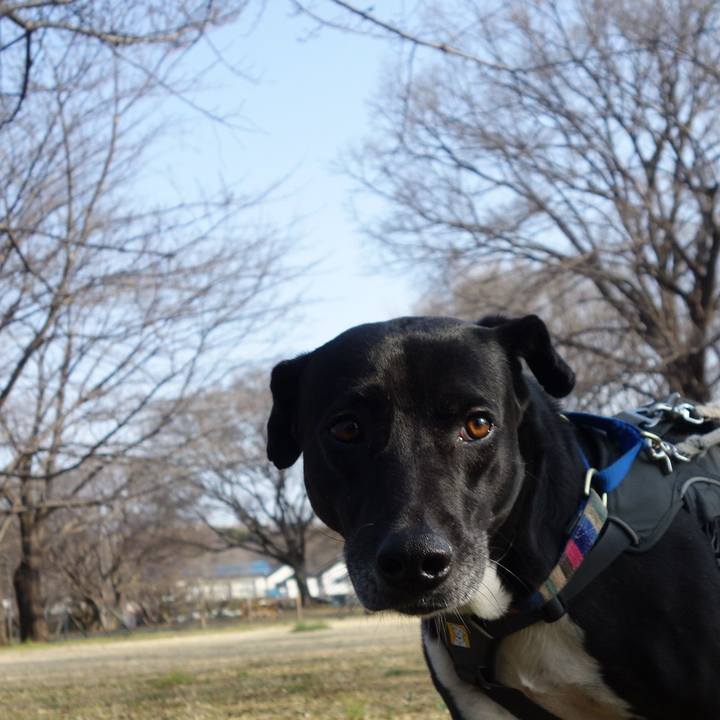 F1d85b84 95b1 46c4 b87b 7dccffa040a9 1646960697934