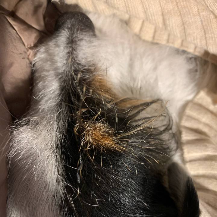 F1d886ed fc17 47fa a3bb 325eb9ec408c 1678621559959