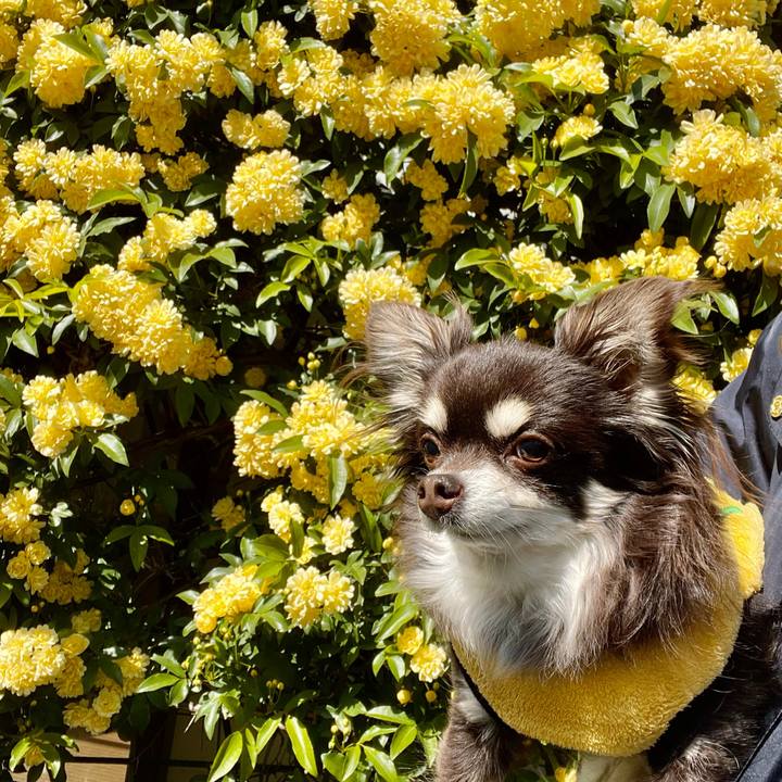 F1d8872f 1615 470c ae11 74fd80e78857 1618120337450