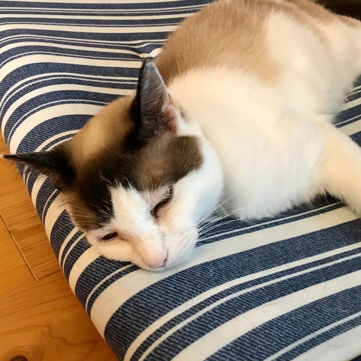 F1d89239 439a 4d40 a4d3 152b7c5fcae9 1595285865315