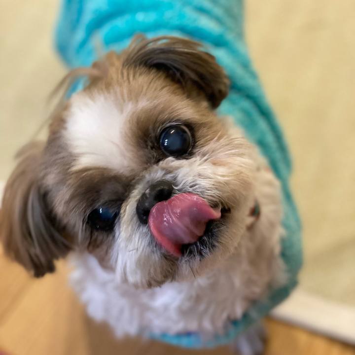 F1d902a6 9b03 46ee 8a9b fb6bb477b172 1672916235951