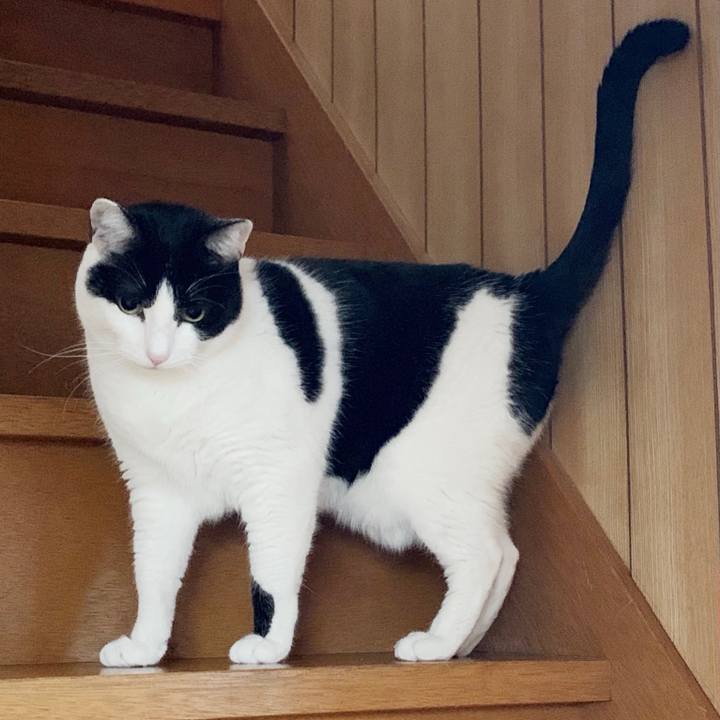 F1d919f3 aa70 42c3 a80c 8b2cba950193 1548645195146