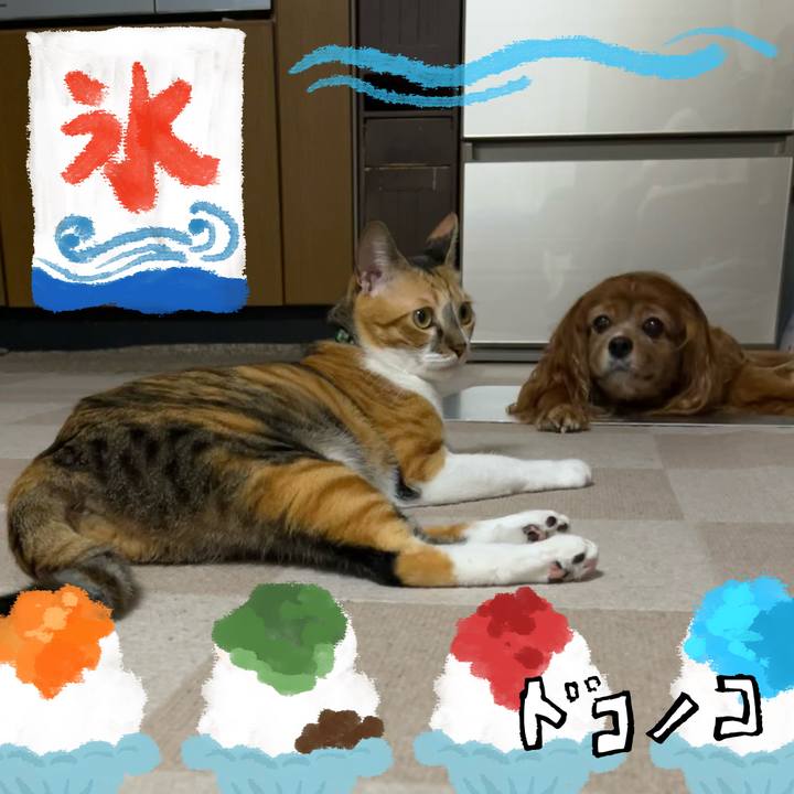 F1d95368 f547 4b74 9f21 53600e55dd7b 1723198571711