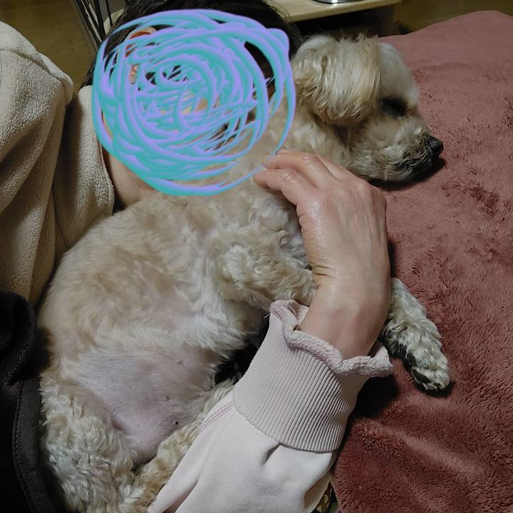 F1d9980f fffb 466d bf6b 2225eed43f74 1647334235401