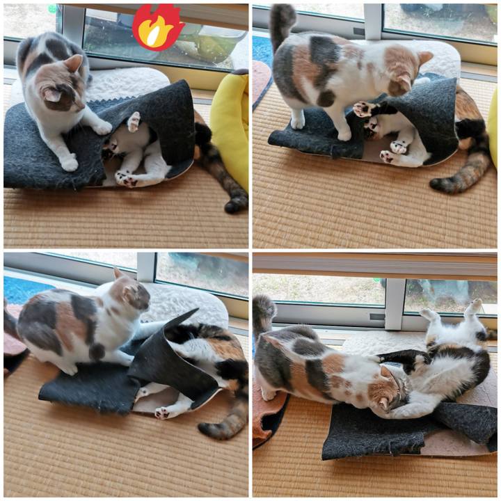 F1d9bcd7 358e 49a8 9d77 a04fcf3f3575 1658552572129