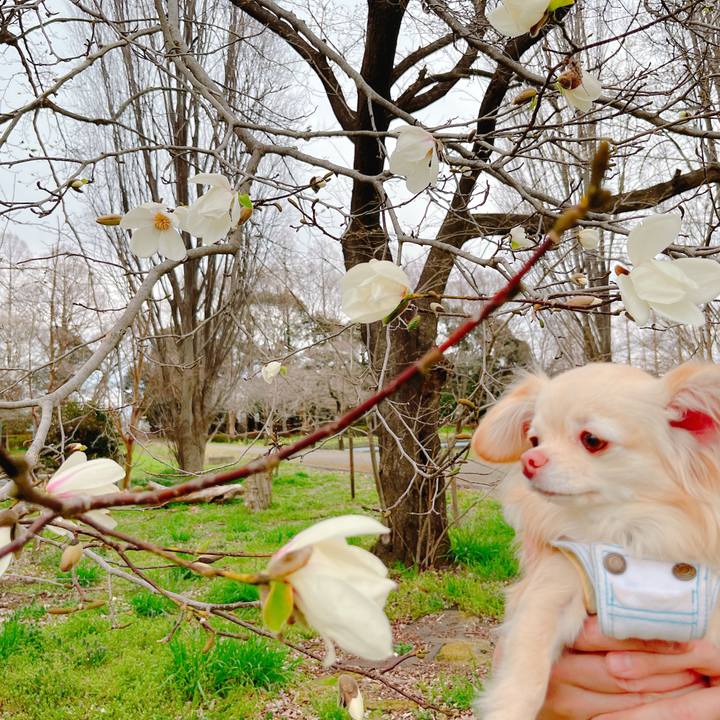 F1da3510 77dd 442d 8995 c31d6be48ee1 1647691598480