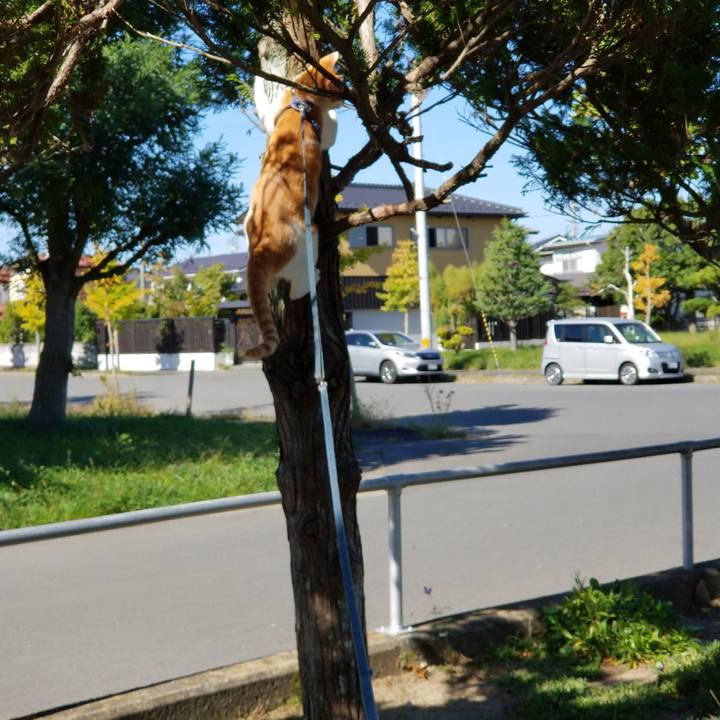 F1da4a7d caa4 4040 ae07 504f7b8b6e9b 1538968965924