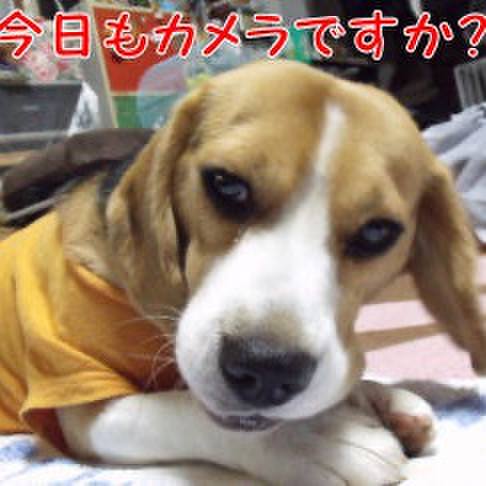 F1da69e7 f68d 4116 bf3a a831686355b1 1715294738402