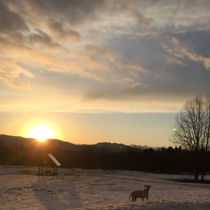 F1da740d ff7f 4112 bc02 4057c1f4f366 1548079168805