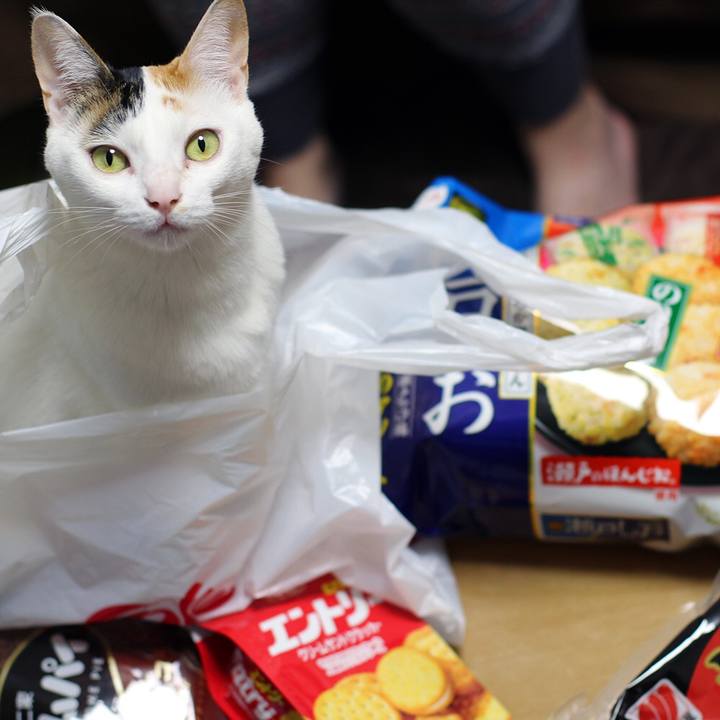 F1daac6e 444b 4458 a8f2 bc4278c892cd 1591485507469