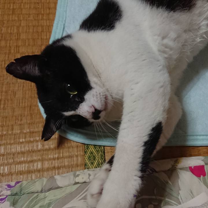 F1dac0de 1772 420a 8db6 7da282a0c7ff 1539302512834