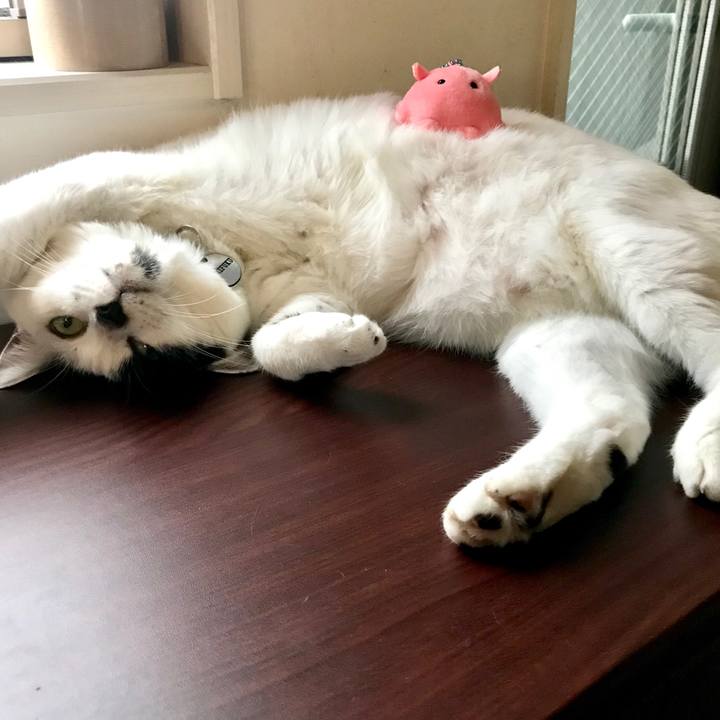 F1dae360 cdab 4419 93b5 65b335bf626d 1569332389874