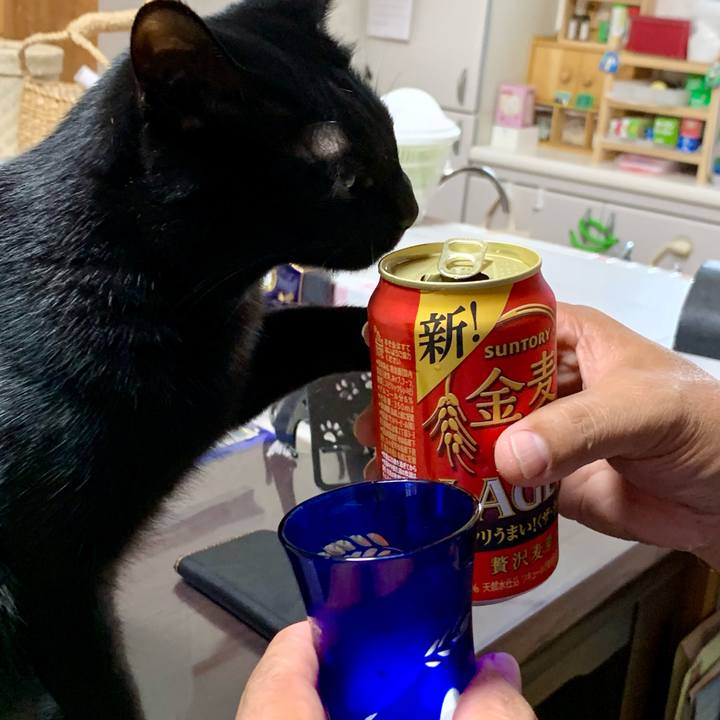 F1db23a0 e07b 4498 9c37 ab176e590c38 1661072756595