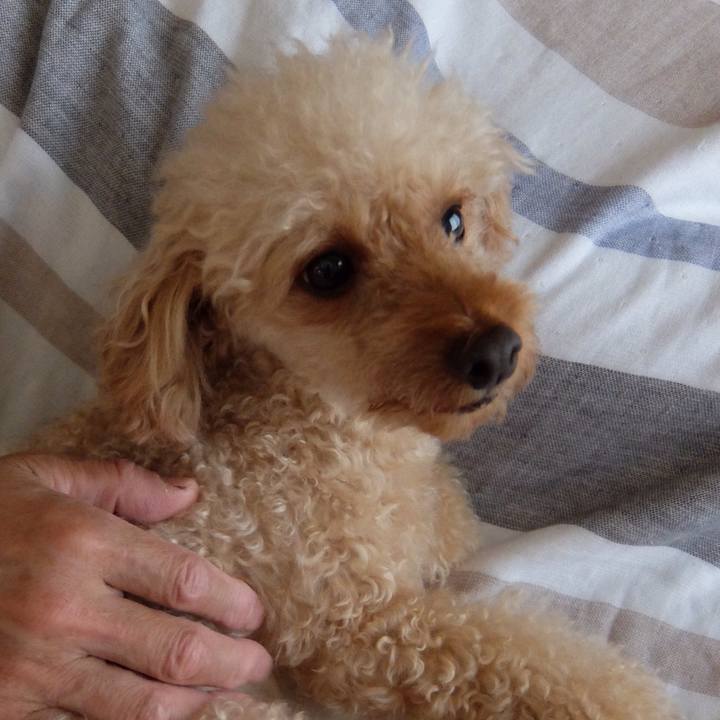 F1db2ca2 8b34 449a 83e6 c5b59d6d7edf 1564212093152