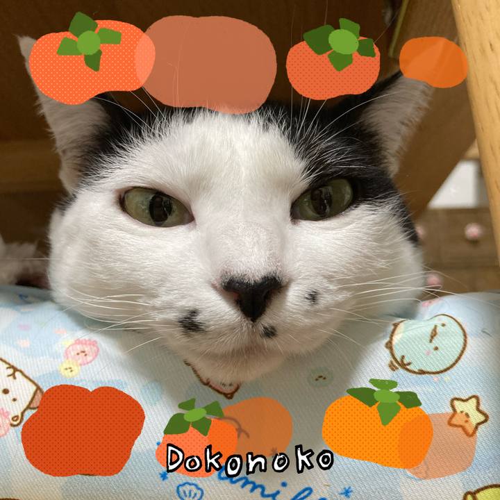 F1db3e7d 1700 42a9 81d3 0ba5ee6ffb92 1762724733314