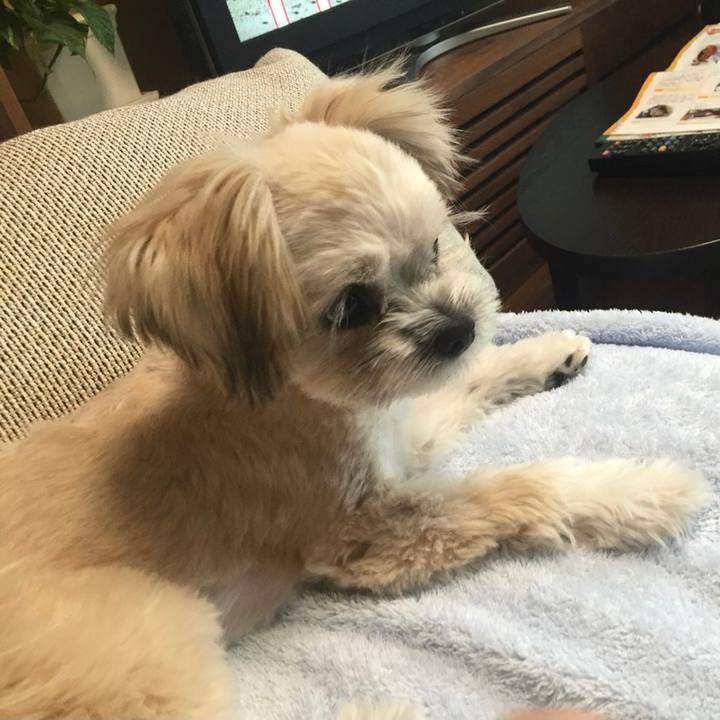 F1db6b66 f20e 4b58 82e5 69b88e019308 1603367631072