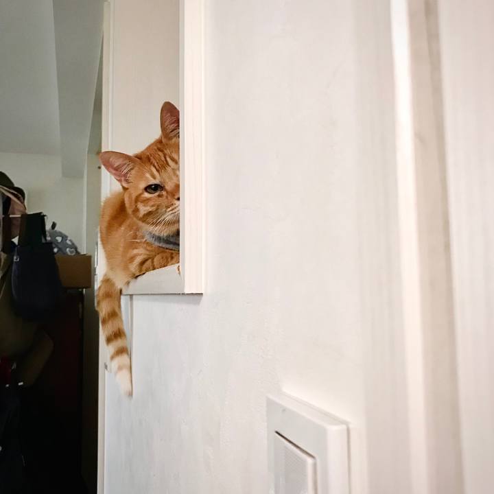 F1dbcaa2 3e20 425f 8f88 0cff127b8091 1630249029380