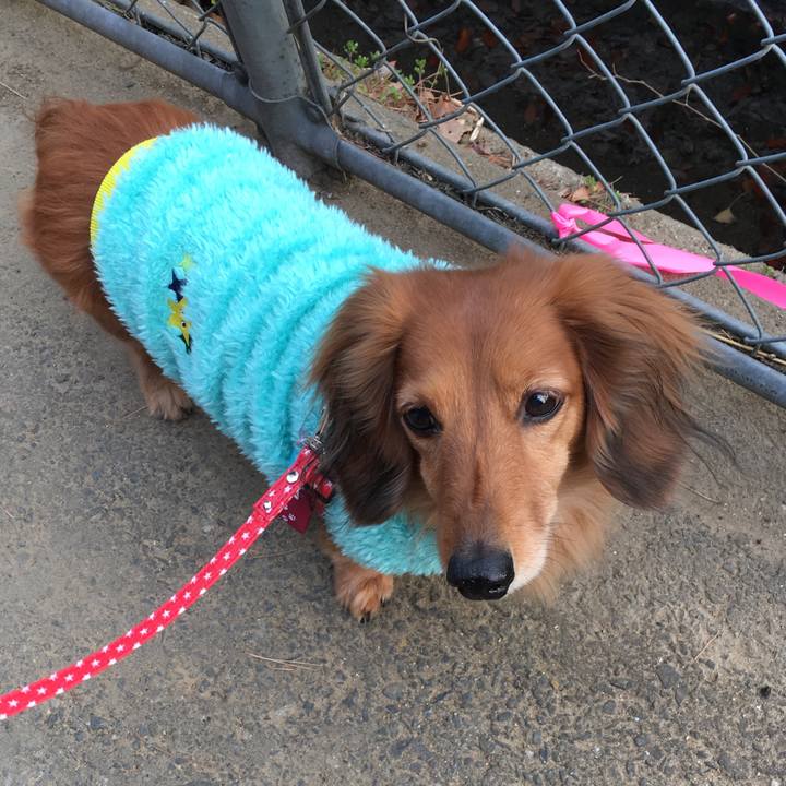 F1dbd4f0 7e5d 4650 b0c5 f7f5bb3b390c 1517358630771