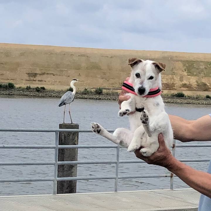 F1dbfc4e 80d9 4282 a5ac 7b35cb45453c 1654436227969