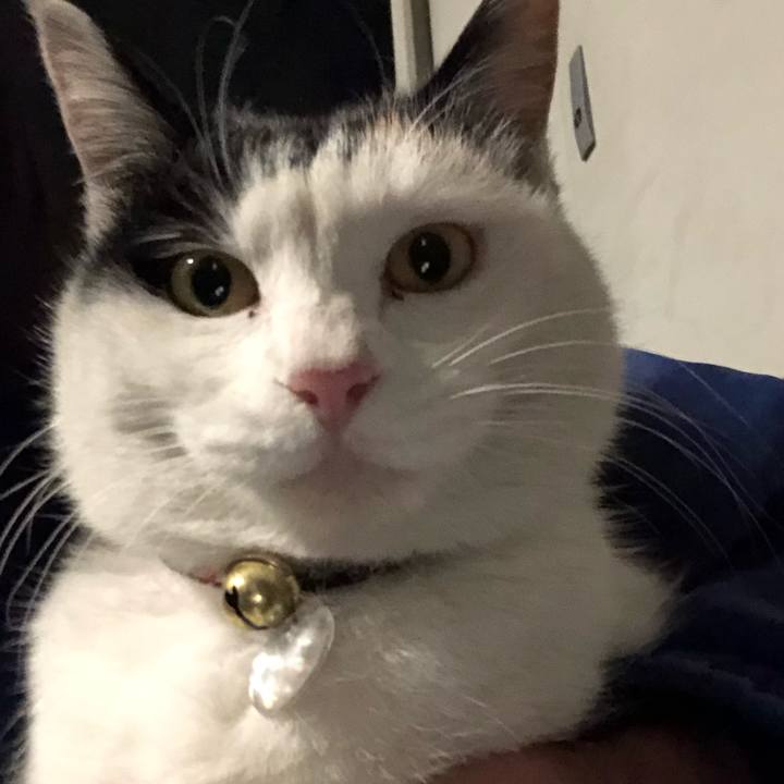 F1dbfe90 a6e7 413e ab0a 72ae99282d27 1610452601254