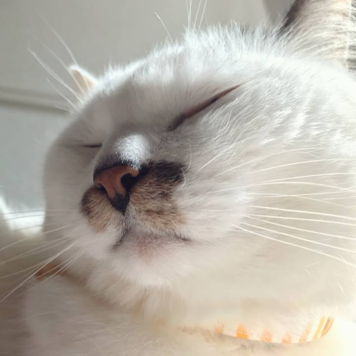 F1dc0367 7d9f 4b2d bd3b 1c800ac55ba8 1585710123339