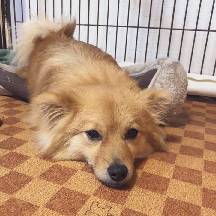 F1dc2e32 41c2 43c9 b398 e430ae63dded 1612150352473