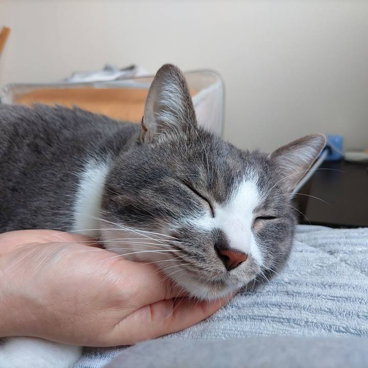 F1dc5180 bb60 438b 8311 5aef9111b02d 1712470740243