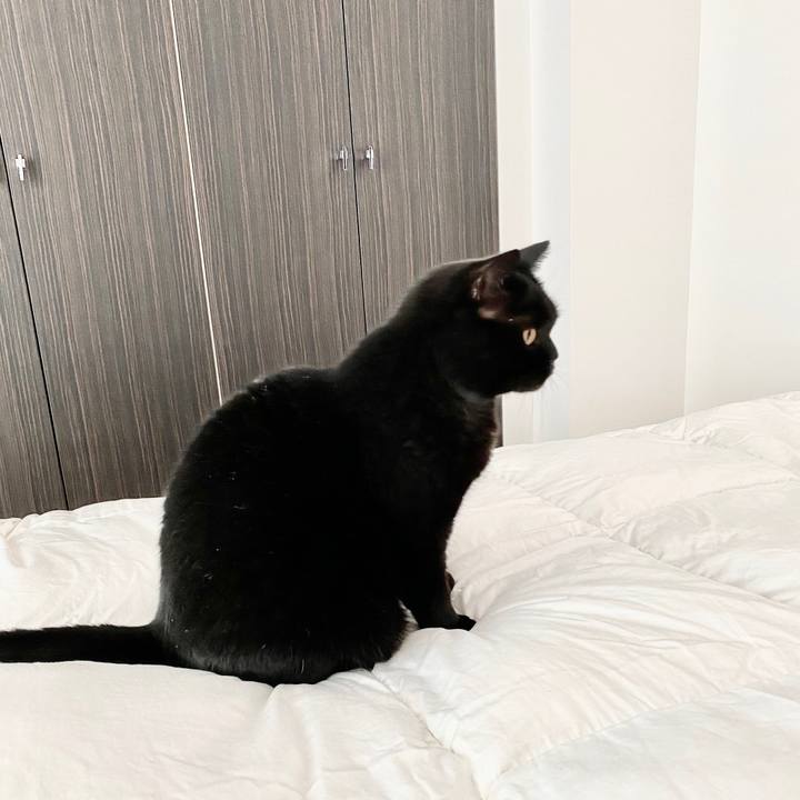 F1dc9494 892e 48dd a67d 26d7bcfac546 1602027722044