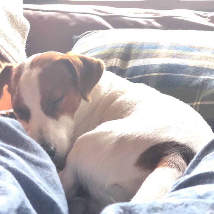 F1dcc4cf 3f55 4380 8ca2 c3b76441f120 1560565512722