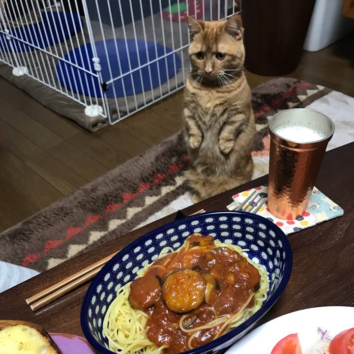 F1dcfb4f 527c 4aeb 9dcc 6ee35629d18c 1521890881308