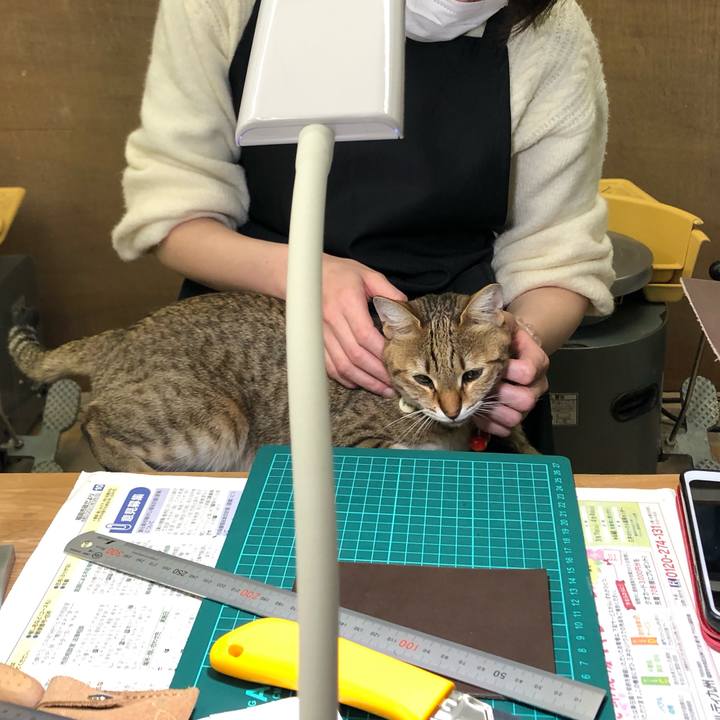 F1dd0b5a c4db 4989 a16e f15910c8297f 1617264122175