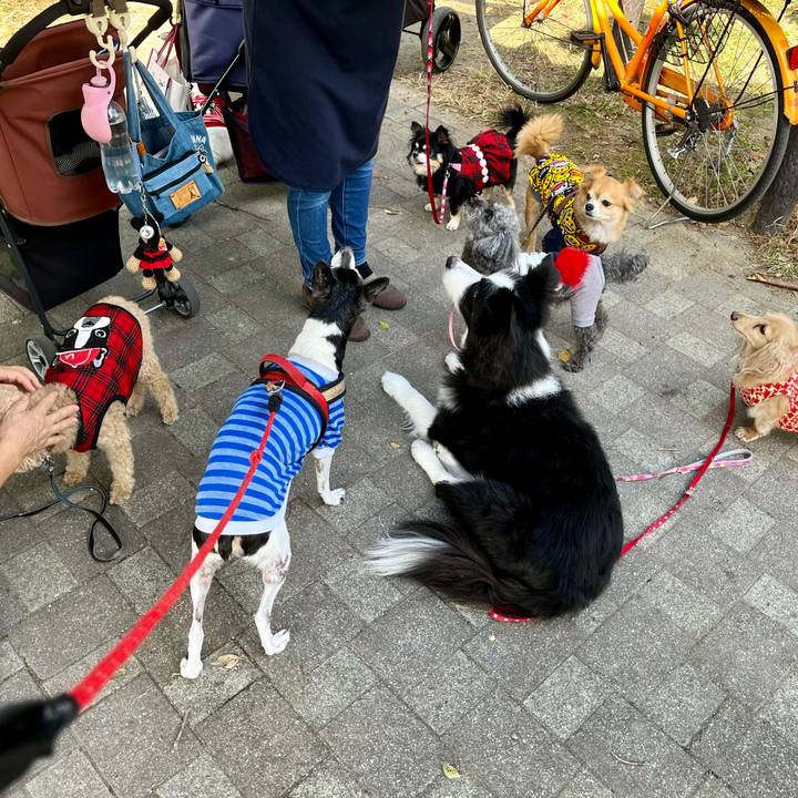 F1dd303a 2f73 457d b50d 8c708bce2c03 1635929770707