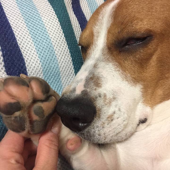 F1dd7747 0c10 4e93 8731 bb143297b9c2 1523974621712