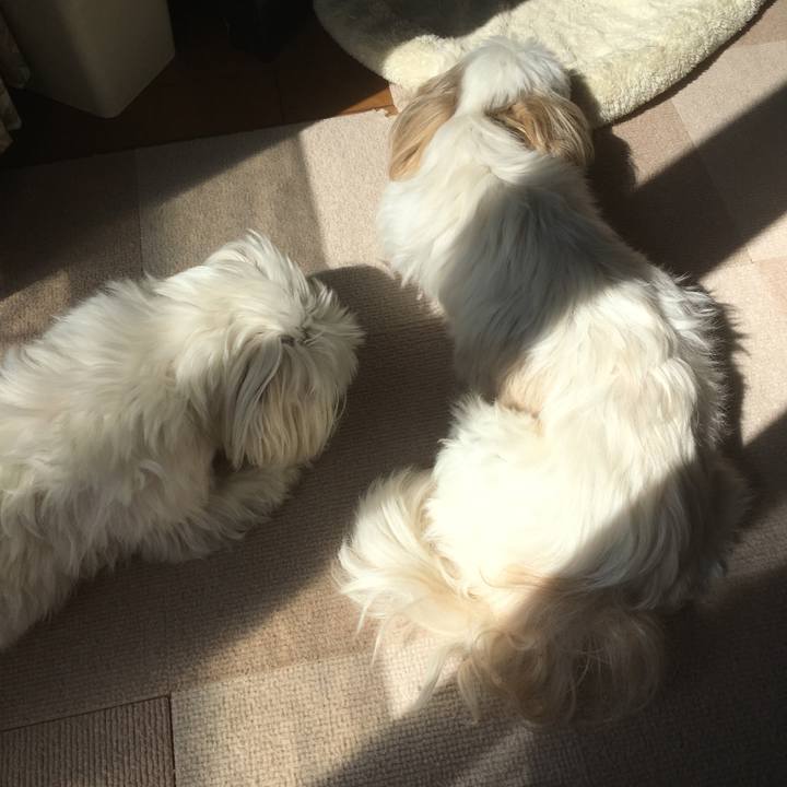 F1dd8c8c 3766 4779 be58 ffa077b4ba9f 1520819535498