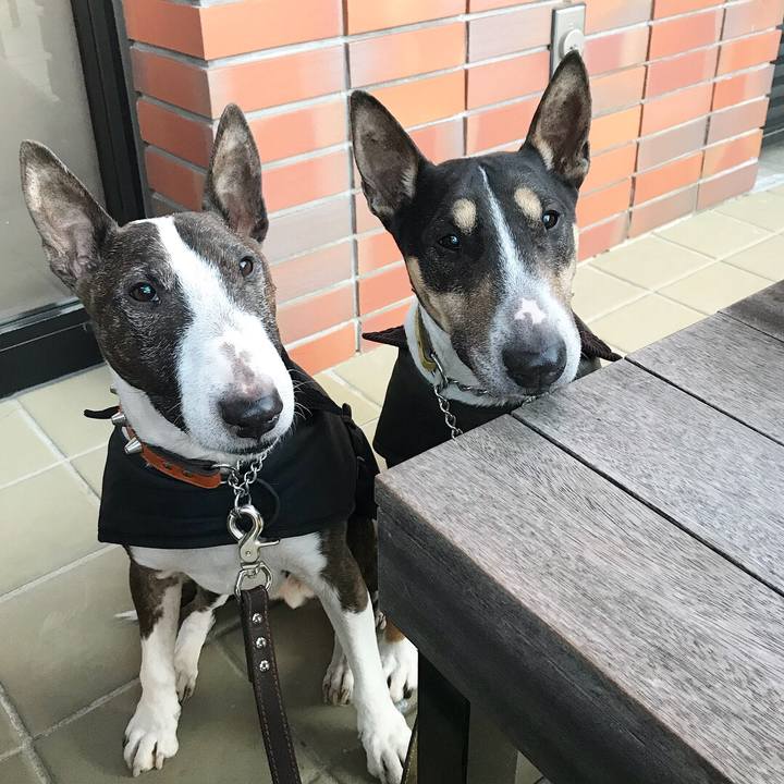 F1dd9e9e bb9a 4cb0 bf97 945d5df2898b 1515056132297