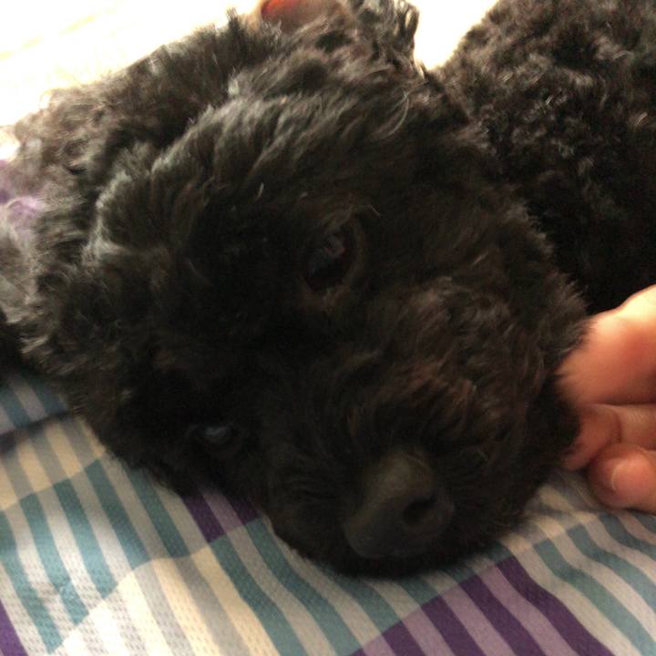 F1ddee75 2829 4879 9bed ffbfb4a7ba8c 1535107624788