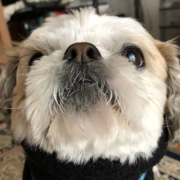 F1de88cd 36a1 4ec9 9ed4 dab6f53d7728 1580420795576