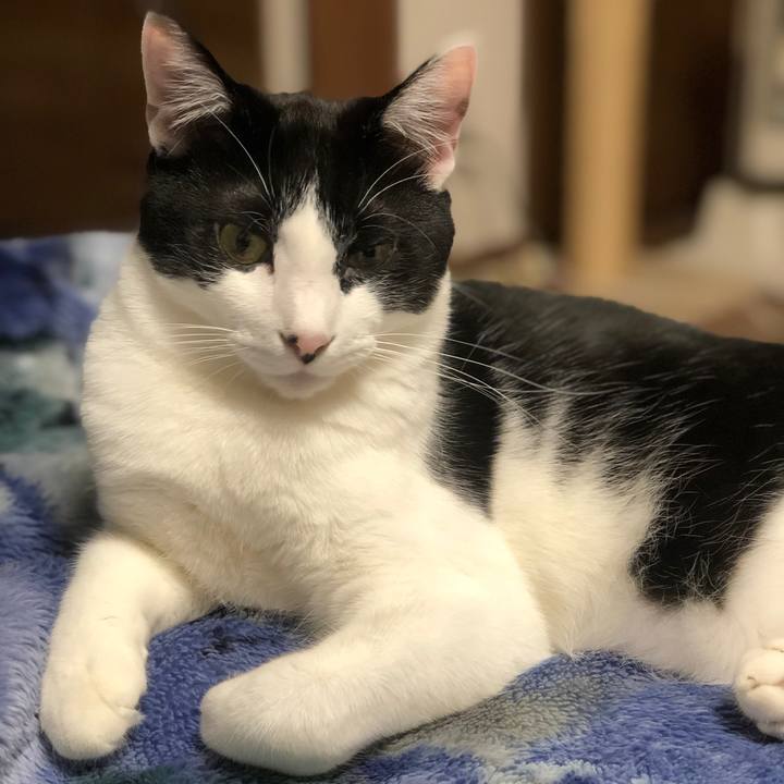 F1de8943 6643 44a1 abb5 3215b0fbec5c 1636900603151