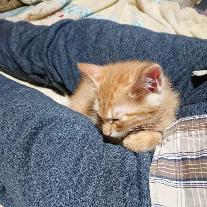 F1df2148 ef2a 460f a5a6 8f0b1c90f835 1629203399533