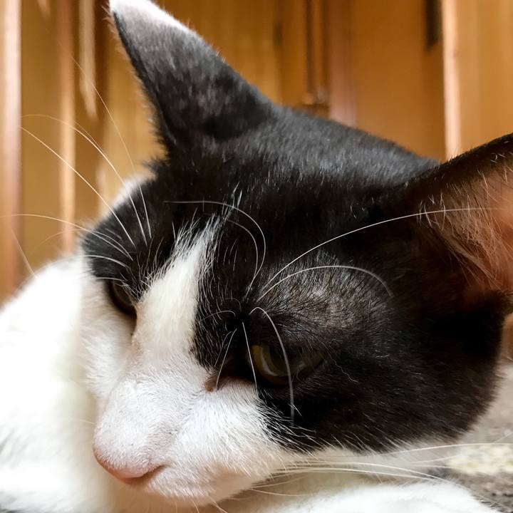 F1df3cae 67b3 42bf b338 48651ae342b8 1532132515904